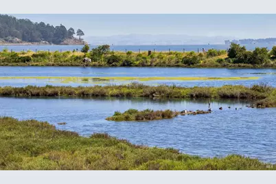 255 Baypoint Drive, San Rafael, CA 94901 - Photo 58