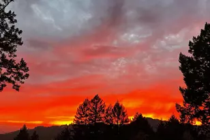 3100 Muniz Ranch Rd, Jenner, CA 95450 - Photo 54