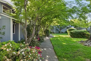 19167 Robinson Rd, Sonoma, CA 95476 - Photo 52