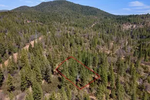 8207 Harrington Flat, Kelseyville, CA 95451 - Photo 50