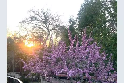 [Address not provided], Mill Valley, CA 94941 - Photo 26