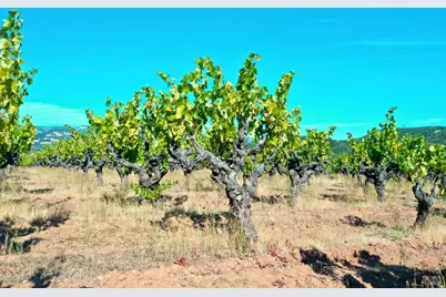 0 Dutcher Creek Road, Healdsburg, CA 95448 - Photo 64