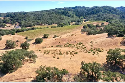 0 Dutcher Creek Road, Healdsburg, CA 95448 - Photo 40