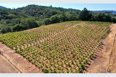 0 Dutcher Creek Road, Healdsburg, CA 95448 - Photo 52