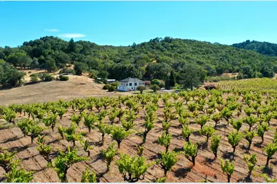 0 Dutcher Creek Road, Healdsburg, CA 95448 - Photo 16