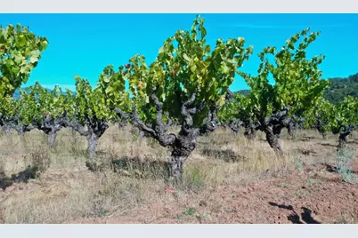 0 Dutcher Creek Road, Healdsburg, CA 95448 - Photo 66