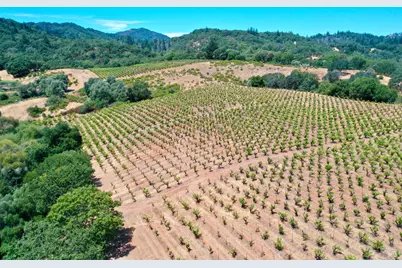 0 Dutcher Creek Road, Healdsburg, CA 95448 - Photo 36