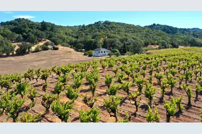 0 Dutcher Creek Road, Healdsburg, CA 95448 - Photo 46