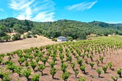 0 Dutcher Creek Road, Healdsburg, CA 95448 - Photo 6