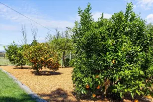 4818 Bennett Valley Rd, Santa Rosa, CA 95404 - Photo 28