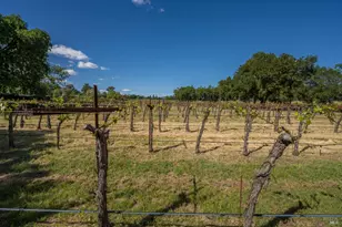 18320 Carriger Rd, Sonoma, CA 95476 - Photo 16