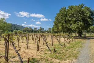 18320 Carriger Rd, Sonoma, CA 95476 - Photo 18