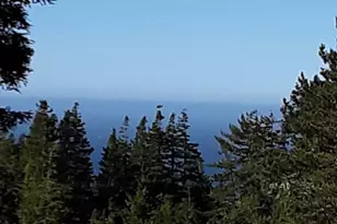 34924 Tock Ln, Gualala, CA 95445 - Photo 6