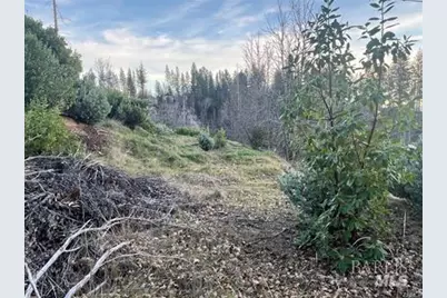 16709 Starview Loop, Cobb, CA 95426 - Photo 6