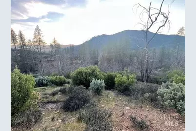 16710 Starview Loop, Cobb, CA 95426 - Photo 6