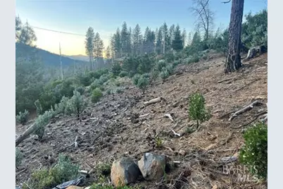 16710 Starview Loop, Cobb, CA 95426 - Photo 10