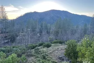 16790 Starview Loop, Cobb, CA 95426 - Photo 1