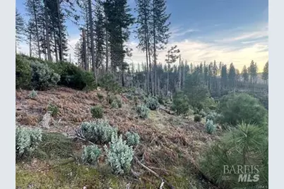 16790 Starview Loop, Cobb, CA 95426 - Photo 12