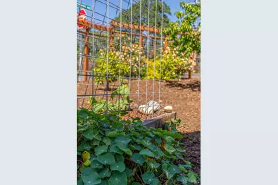 18428 4th Avenue, Sonoma, CA 95476 - Photo 68