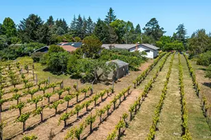 9275 Ferguson Ct, Sebastopol, CA 95472 - Photo 40