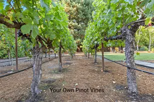 16390 Laughlin Rd, Guerneville, CA 95446 - Photo 48