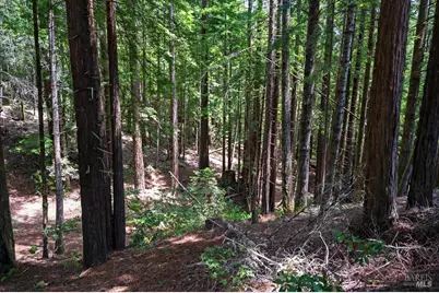 37275 Glennen Drive, Gualala, CA 95445 - Photo 72