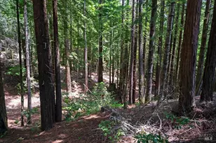 37275 Glennen Dr, Gualala, CA 95445 - Photo 72