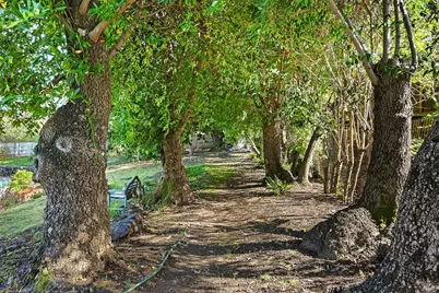 18 Dutch Valley Lane, San Anselmo, CA 94960 - Photo 72
