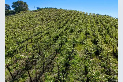 8435 W Highway 175 Highway, Hopland, CA 95449 - Photo 48