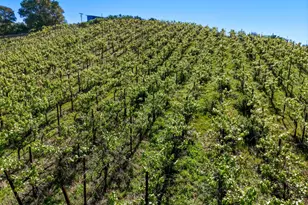 8435 W Hwy 175 Hwy, Hopland, CA 95449 - Photo 48