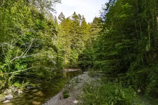 18 Wildwood Ln, Cazadero, CA 95421 - Photo 82