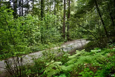 0 Old Monte Rio Road, Guerneville, CA 95446 - Photo 30