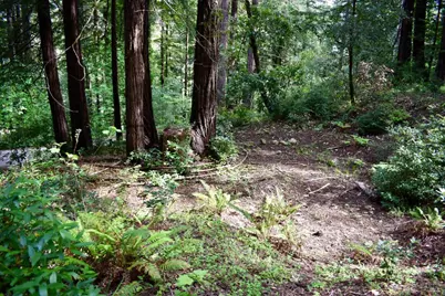 0 Old Monte Rio Road, Guerneville, CA 95446 - Photo 18