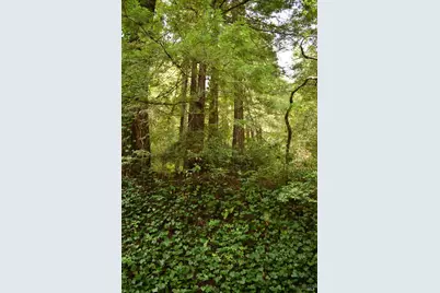 0 Old Monte Rio Road, Guerneville, CA 95446 - Photo 2