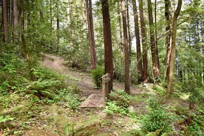 0 Old Monte Rio Road, Guerneville, CA 95446 - Photo 22