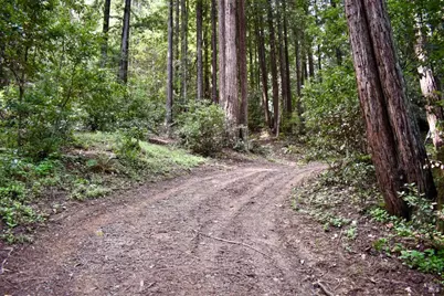 0 Old Monte Rio Road, Guerneville, CA 95446 - Photo 10