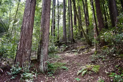 0 Old Monte Rio Road, Guerneville, CA 95446 - Photo 12