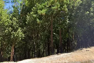 24921 Clover Rd, Willits, CA 95490 - Photo 1