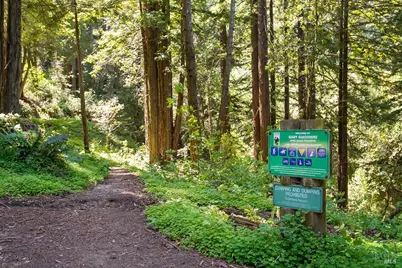 187 Conifer Way, Woodacre, CA 94973 - Photo 28