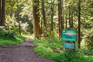 187 Conifer Way, Woodacre, CA 94973 - Photo 28