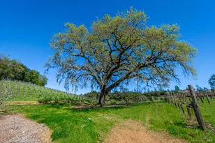 18345 Hwy 128, Calistoga, CA 94515 - Photo 30