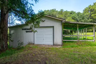 8099 Yule Tree Ln, Sebastopol, CA 95472 - Photo 8
