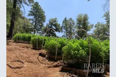 37600 N Hwy 101, Laytonville, CA 95454 - Photo 38