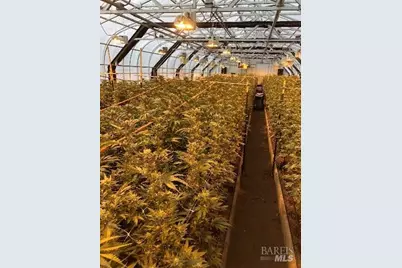 37600 N Hwy 101, Laytonville, CA 95454 - Photo 10