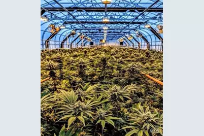 37600 N Hwy 101, Laytonville, CA 95454 - Photo 8