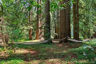 1650 Jonive Rd, Sebastopol, CA 95472 - Photo 46
