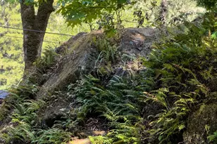 5845 Austin Creek Rd, Cazadero, CA 95421 - Photo 20