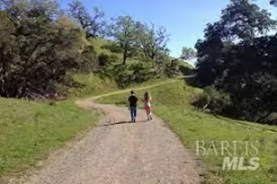 218 Verandah Ave, Novato, CA 94945 - Photo 52