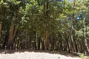 24230 Cypress Dr, Willits, CA 95490 - Photo 1