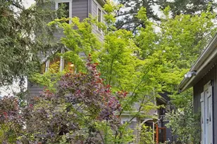 801 Dry Creek Rd, Healdsburg, CA 95448 - Photo 48